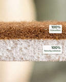 Makro af svampens to lag: kokosfibre og naturlig cellulose